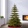 thumbnail image 5 of National Tree Company 7.5 ft. Glenwood Fir Tree with Clear Lights and PowerConnect, 5 of 6