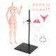 thumbnail image 3 of Muñecas de figura súper flexibles a escala 1/6, cuerpo de silicona completo realista para artes rosa Rosado Salvador Figura de acción, 3 of 10