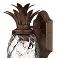 thumbnail image 2 of Hinkley Lighting - Plantation - 1 Light Extra Small Outdoor Wall Lantern in, 2 of 7