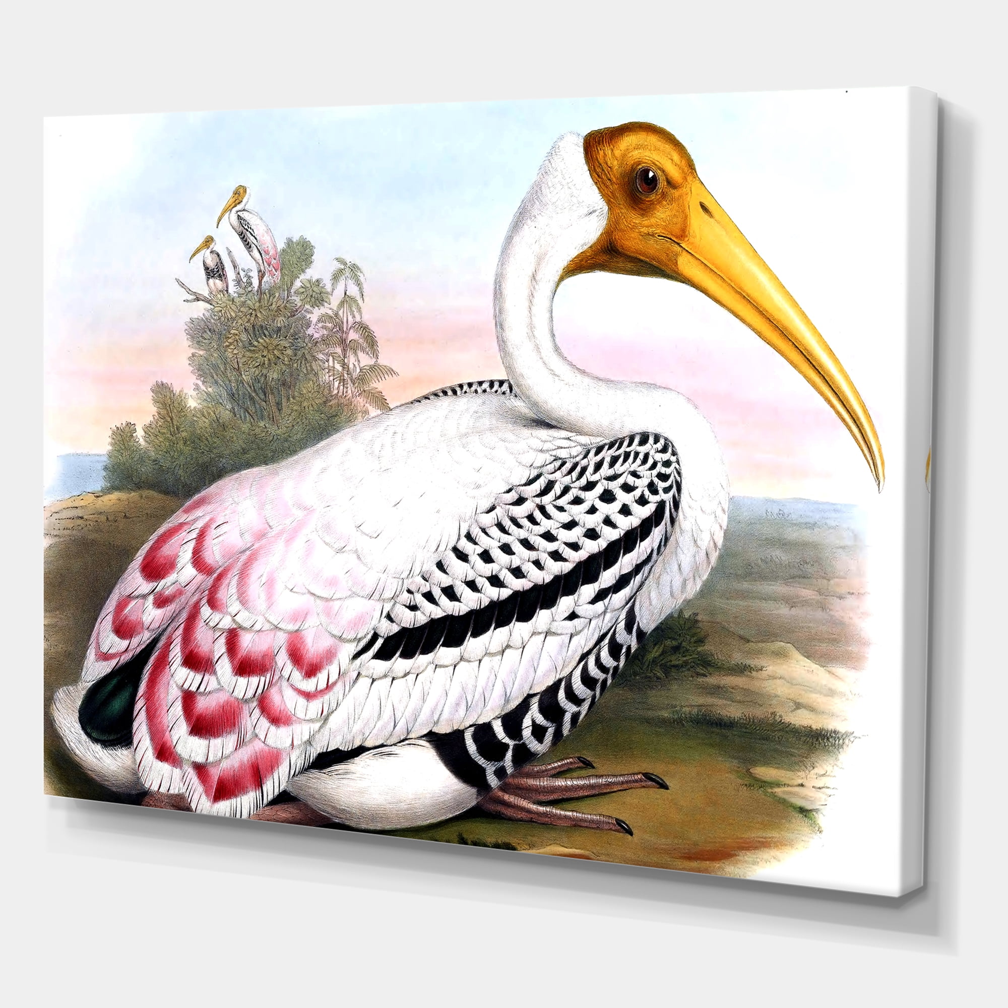 Designart ' Vintage Countryside White Birds ' Farmhouse Canvas Wall Art Print