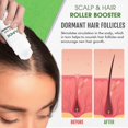 thumbnail image 2 of pieza de tratamientos para la caída del cabello Ouhoe Tratamientos para la caída del cabello | | 1 pieza, 2 of 4