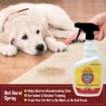 thumbnail image 4 of ¡El spray corrector de entrenamiento Bodhi Dog no está aquí! 960 ml, 4 of 6