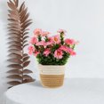 thumbnail image 1 of unbranded Planta Artificial En Maceta Multi Para Hogar Oficina Escritorio, 1 of 6