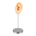 thumbnail image 1 of Modelo de oreja de silicona perforable, oreja falsa, reutilizable, realista, soporte de acero inoxidable. Piel izquierda, 1 of 9