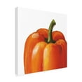 thumbnail image 2 of Lisa Audit 'Crunchy on White' Canvas Art, 2 of 4