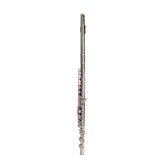 Nickel Plated C Closed Hole Concert Band Flute with E Key
