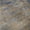 Navy, variant on Addison Rugs Mayfield Premium Machine Washable Transitional Abstract Copper Rectangle Rug, 10' x 14'