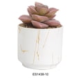 thumbnail image 3 of maskred 4pack/lot Exquisite Crafted Succulent Plant With Good Hand Feeling - Realistic Appearance Non-toxic ES1438-10, 3 of 6