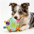 thumbnail image 2 of WeeWhimsy Dog Tag Toy, 6-Inch Squeaky Plush Toy for Puppies & Small Medium Dogs Soft Stuffed Cotton Ball Interactive Retrieval Toy,Puppy Play Gym & Busy Toys, 2 of 2