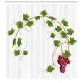 thumbnail image 3 of Ambesonne Vineyard Shower Curtain, Cluster Ivy Fresh, 69"Wx84"L, Green Purple, 3 of 3