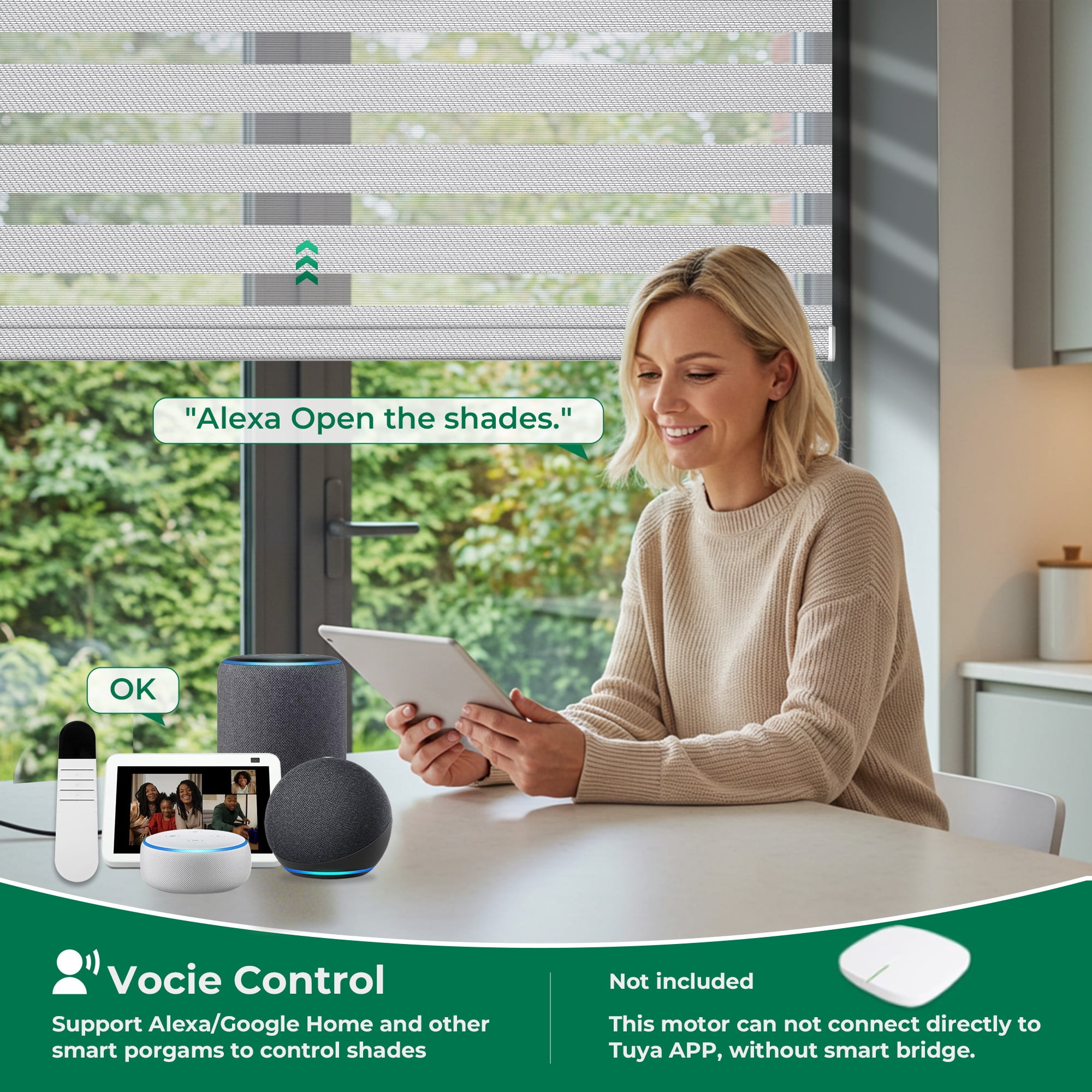 Allesin No Drill Motorized Zebra Shades with Remote Control, 50% Light Filtering Smart Blinds for Apartments & Rentals , Automatic Day/Night Adjustment (Silver Gray 32"Wx72"H)