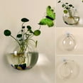 thumbnail image 5 of Wall Hang Glass Flower Planter Vase Terrarium Container Home Garden Decor Ball, 5 of 5