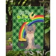 thumbnail image 3 of Longhaired Blue and Tan Chihuahua St. Patricks Day Flag Garden Size, 3 of 3
