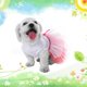 thumbnail image 2 of EeaseMX Vestido tutú de tul para perro, falda de encaje para verano y primavera, talla S (rosa), 2 of 7