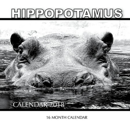 Hippopotamus Calendar 2018: 16 Month Calendar