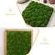 thumbnail image 3 of YSNOOWE 2Ud Panel De Musgo Artificial Verde Para De Pared Interior Y Exterior, 3 of 8
