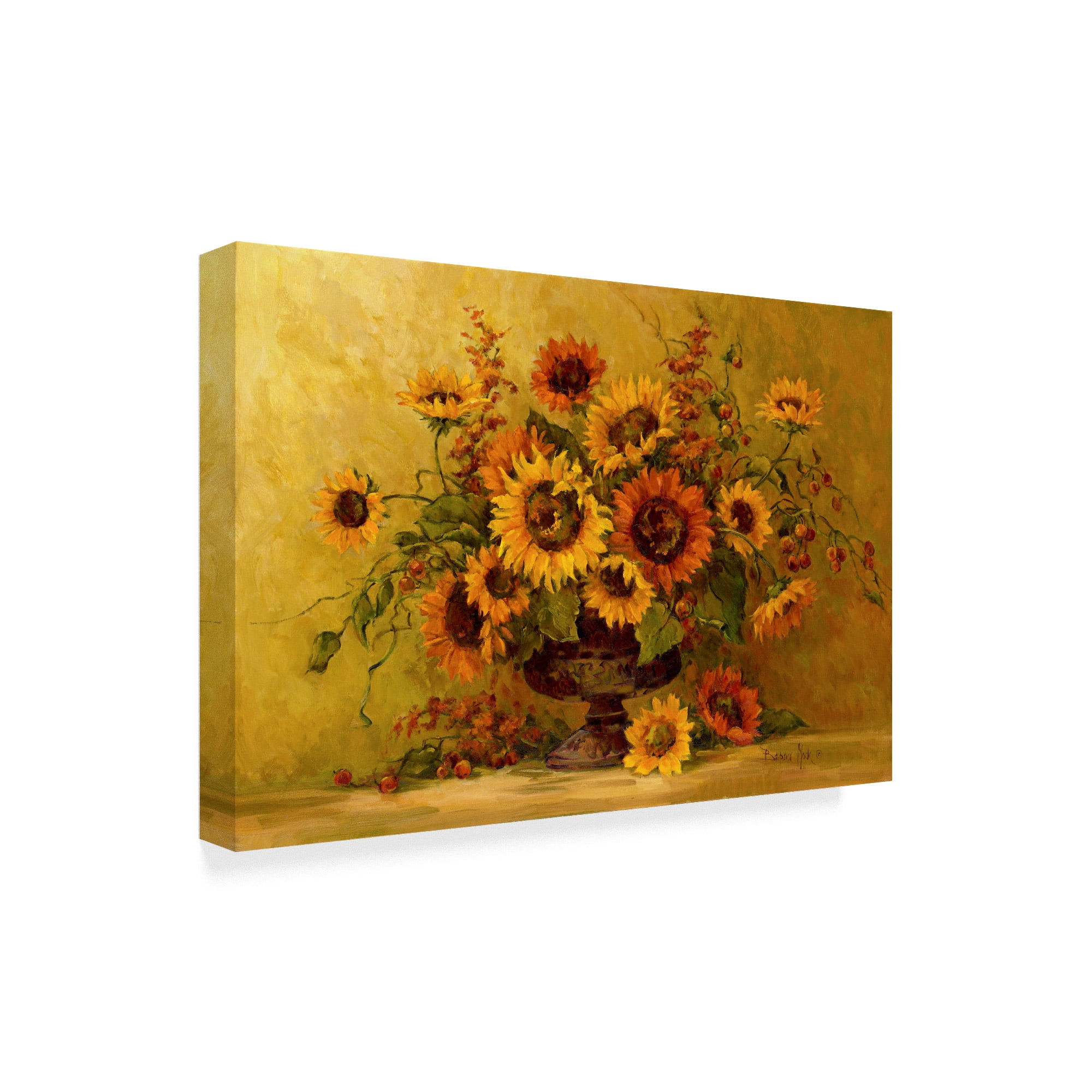 Trademark Fine Art ' Sunflower Sunset' Canvas Art by Barbara Mock