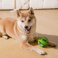 thumbnail image 2 of Talking Ball Dog Toy Wear-Resistant And Bite-Resistant Large, Medium And Small Dogs Golden Retriever Shiba Inu German Shepherd, 2 of 7