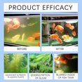 thumbnail image 4 of Aquarium Cleaner Algae Remover Algaecide Powder For Fish Tank Water Pur Nice E0, 4 of 8