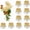 10Pcs, variant on 10Pcs Floral Frogs 23mm/0.9inch Round Kenzans Mini Flower Frog Pin Frog Japanese Ikebana Spiky Frog Fixed Tools Metal Flower Arranger Tool Pin Holder for Small Vase