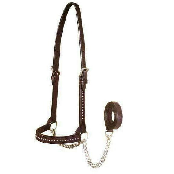 Derby New & Improved Premium Crystal Bling Rhinestone Inlay Flat Leather Cattle Show Halter with Chain Lead