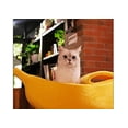 thumbnail image 5 of PET GROW Cute Banana Cat Bed House, Pet Bed Soft Cat Cuddle Bed, Lovely Pet Supplies for Cats Kittens Bed, Yellow, 5 of 5