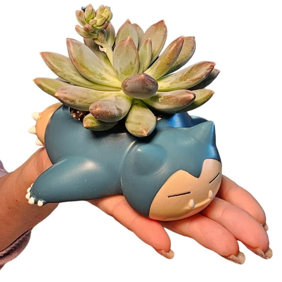 Snorlax Pokemon Planter Pot 2.5" Tall - Mini Anime Theme Desktop Planter with Drainage Hole