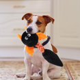 thumbnail image 1 of Juguete de peluche para perros Salvador Juguete interactivo Negro, 1 of 10