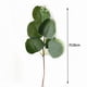 thumbnail image 3 of 20Pieces/lot Artificial Plant Silk Plastic Flowers Eucalyptus Leaves Stems Branches Floral Bouquets Wreath Arrangement Home Table Garden Wedding Green, 3 of 5