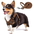 thumbnail image 1 of Dog Harness, Dog Harness Small Breed, Pet Harness with A Easy Control Leash, Easy Walk Pet Harness and No Choke Vest Harness for Medium or Small Breeds, 1 of 6