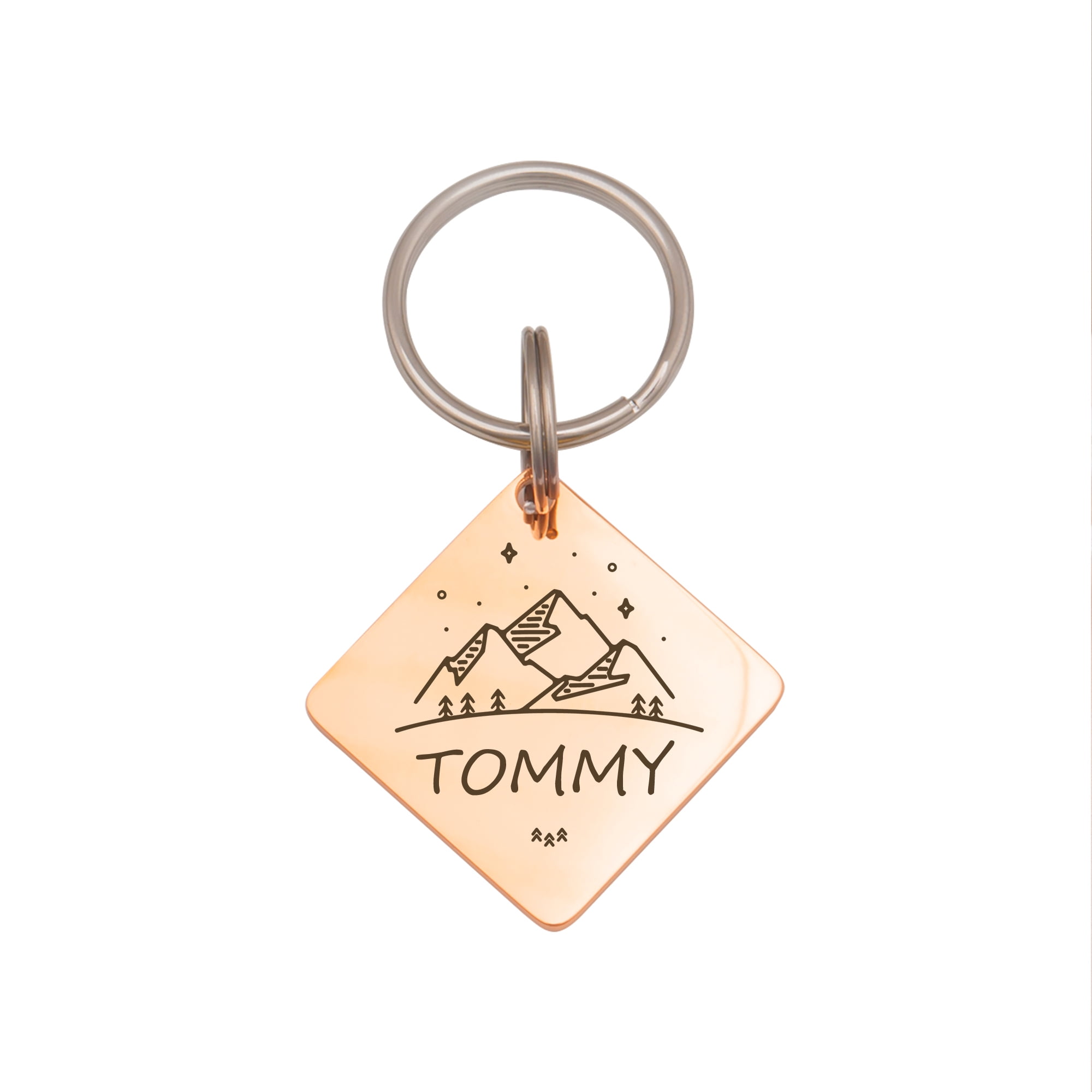 Anavia Stainless Steel Double Sided Diamond Name - Large Picture Engraved Dog & Cat ID Tag, Rose Gold, L