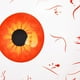 thumbnail image 2 of Decoraciones de miedo Globos Globos inflables Accesorios de Halloween (globo ocular 4D) Rojo, 2 of 3