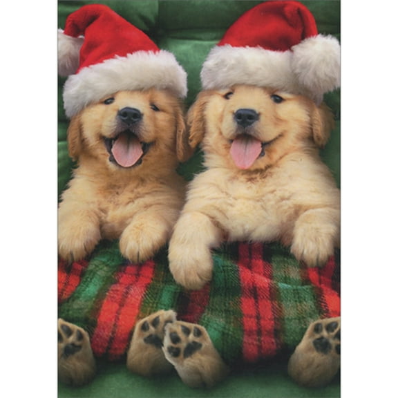 Avanti Press Puppies in Santa Hats Under Red and Green Blanket Pack of 10 Christmas Cards