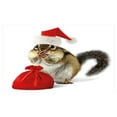 thumbnail image 4 of Christmas Ceramic Toothbrush Holder, Chipmunk in Red Santa Claus Hat and Bag with Surprise Xmas Presents, Decorative Versatile Countertop for Bathroom, 4.5" X 2.7", Pale Yellow White Red, 4 of 4