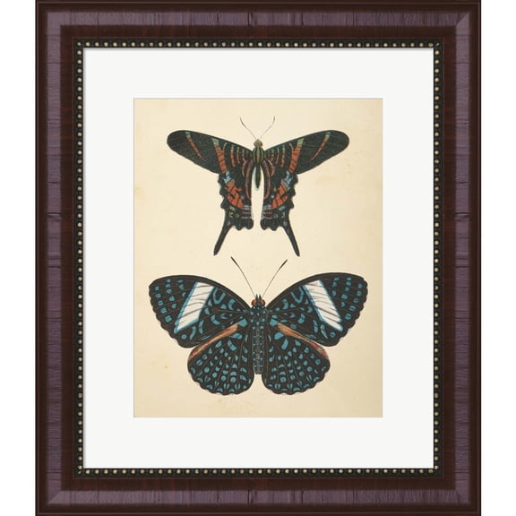 Great Art Now Papillons II by Wild Apple Portfolio, Framed Wall Art, 16.25W x 19H