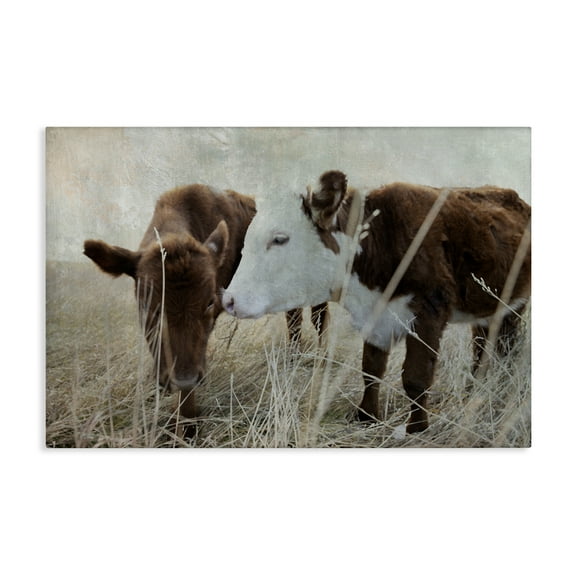 Stupell Industries Baby Calf Pair in Grass Animals & Insects Photography Gallery Wrapped Canvas Art Print Wall Art, 24 x 16