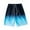 Blue, variant on Mens Shorts Workout Black Quick Dry Basketball Shorts Summer Beach Shorts Gym Shorts Men Fashion Sports Shorts Gym Workout Shorts for Men