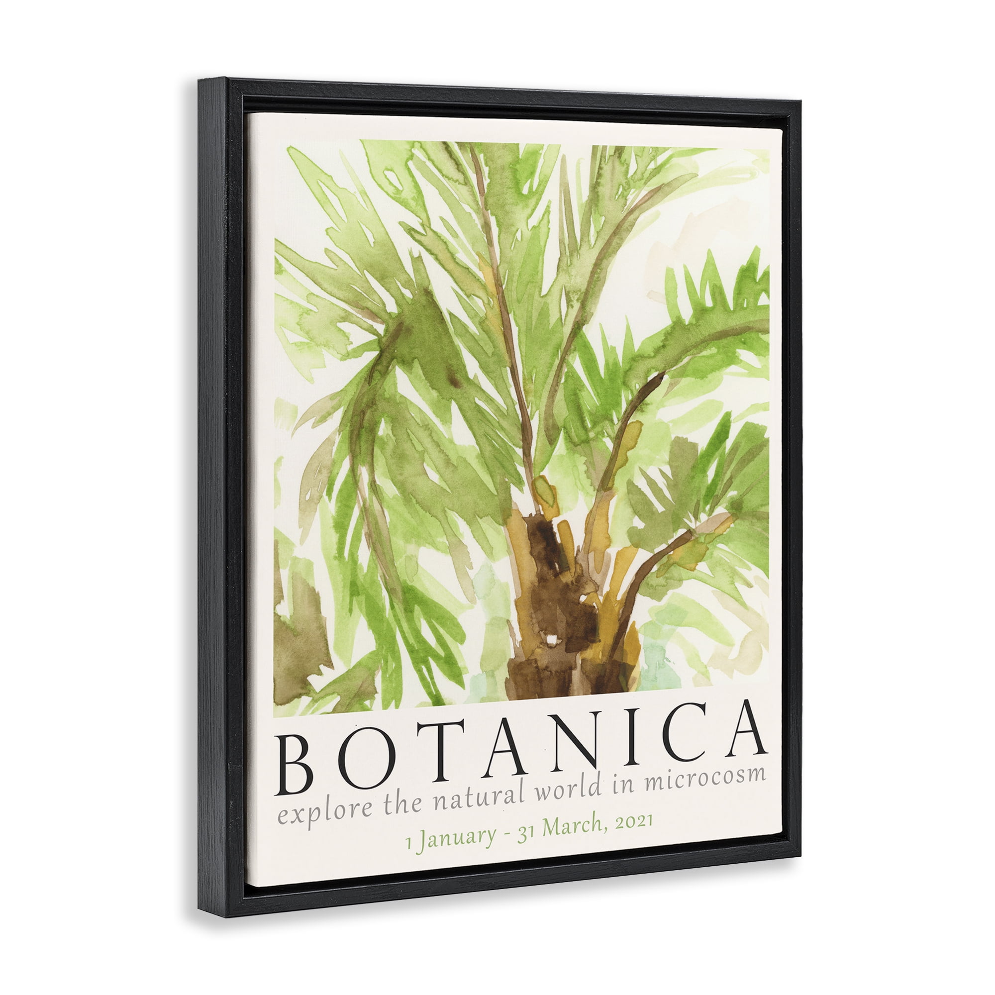 Stupell Industries Botanica Poster Palm Tree Plants & Flowers Painting Black Floater Framed Canvas Art Print Wall Art, 17 x 21