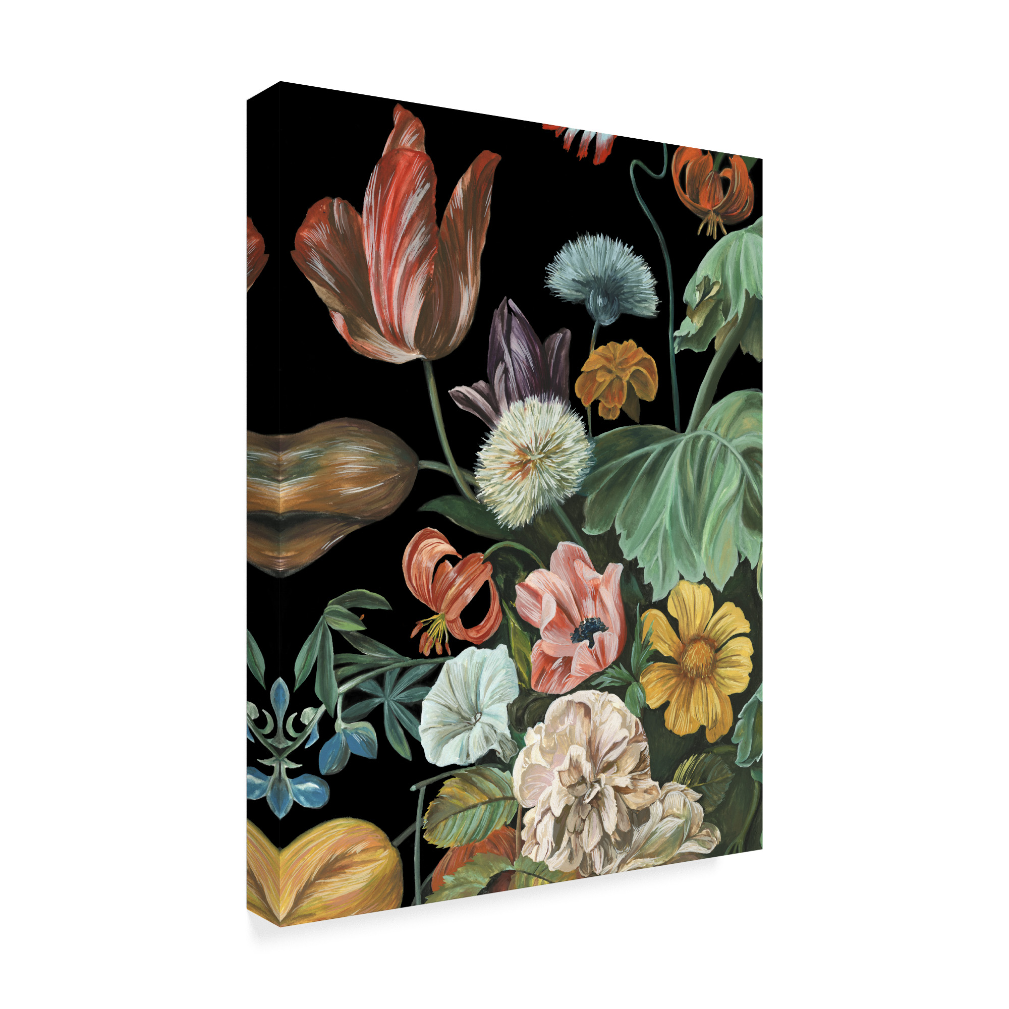 Trademark Fine Art 'Baroque Floral I' Canvas Art by Melissa Wang