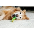 thumbnail image 6 of Hartz Chew N Clean Dental Duo Dog Chew Toy, Large, Bacon Flavor, 6 of 8