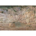 thumbnail image 2 of Karl Mediz 24x18 Gold Ornate Framed and Double Matted Museum Art Print Titled - The Vulture in the Rock Rock (1897), 2 of 4
