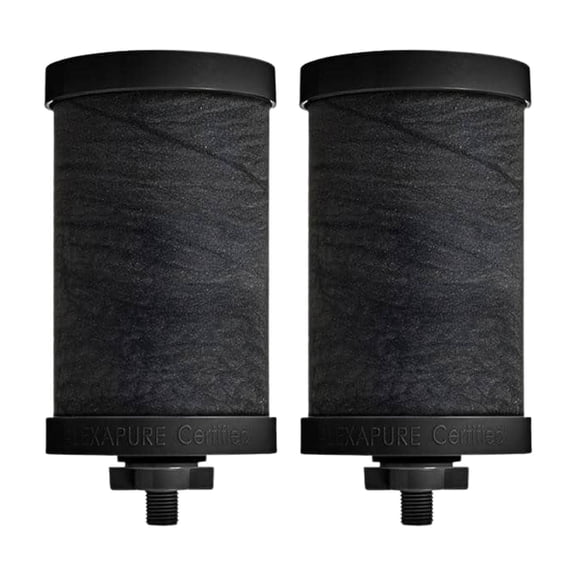 Alexapure Pro Water Filter Replacement, 2-Pack | For Alexapure Pro Filtration System, Black