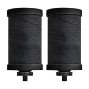 Alexapure Pro Filter Replacement 2-Pack, Black