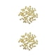 thumbnail image 4 of Parches para uñas Advancent Copos de nieve 2Conjunto Lentejuelas brillantes, 4 of 6