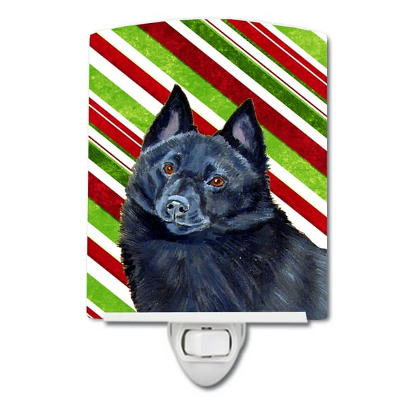 Caroline's Treasures LH9249CNL Schipperke Candy Cane Holiday Christmas Ceramic Night Light, 6x4x3", multicolor