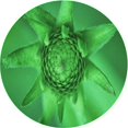thumbnail image 1 of Ahgly Company Machine Washable Indoor Round Transitional Green Area Rugs, 6' Round, 1 of 7