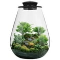 thumbnail image 1 of Terrario de plantas de vidrio de escritorio con luz de crecimiento, macetero para suculento paisaje de jardinería en miniatura de musgo, pecera Betta, crecimiento de plantas de interior, decoración de, 1 of 5