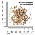 thumbnail image 3 of Ferry-Morse Economy 7.5G Wildflower Bird & Butterfly Mixture Annual Flower Seeds, Full Sun, 3 of 10