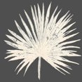 thumbnail image 2 of Pinto, Patricia 15x15 Black Ornate Wood Framed with Double Matting Museum Art Print Titled - Sophisticated Palm Leaf I, 2 of 4