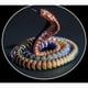 thumbnail image 4 of Cobra en 3D, Cobra Articulada en 3D, Juguetes de Cobra Flexibles Posables D, 4 of 5